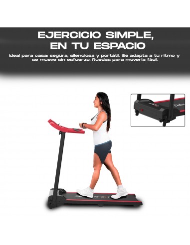 Cinta de Correr Plegable 1000W Deluxe13 T12F1 | Andar y Correr 1-12 km/h