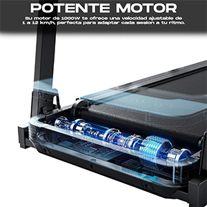 Motor eléctrico 1000W caminadora Deluxe13
